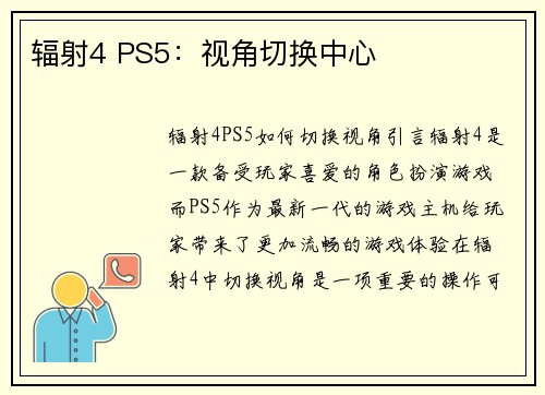 辐射4 PS5：视角切换中心